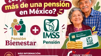 ¿Se puede recibir más de una pensión en México? Pensión Bienestar más la Pensión IMSS