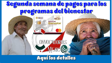 Segunda semana de pagos para los programas del bienestar…Aquí los detalles
