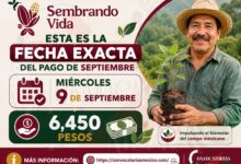 Sembrando Vida: Esta es la fecha en la que se otorgara los 6 mil 450 pesos en este mes de septiembre