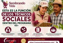 Sembrando Vida: esta es la función de los técnicos sociales dentro del programa