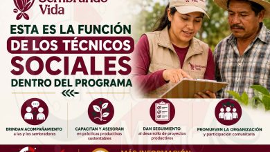 Sembrando Vida: esta es la función de los técnicos sociales dentro del programa