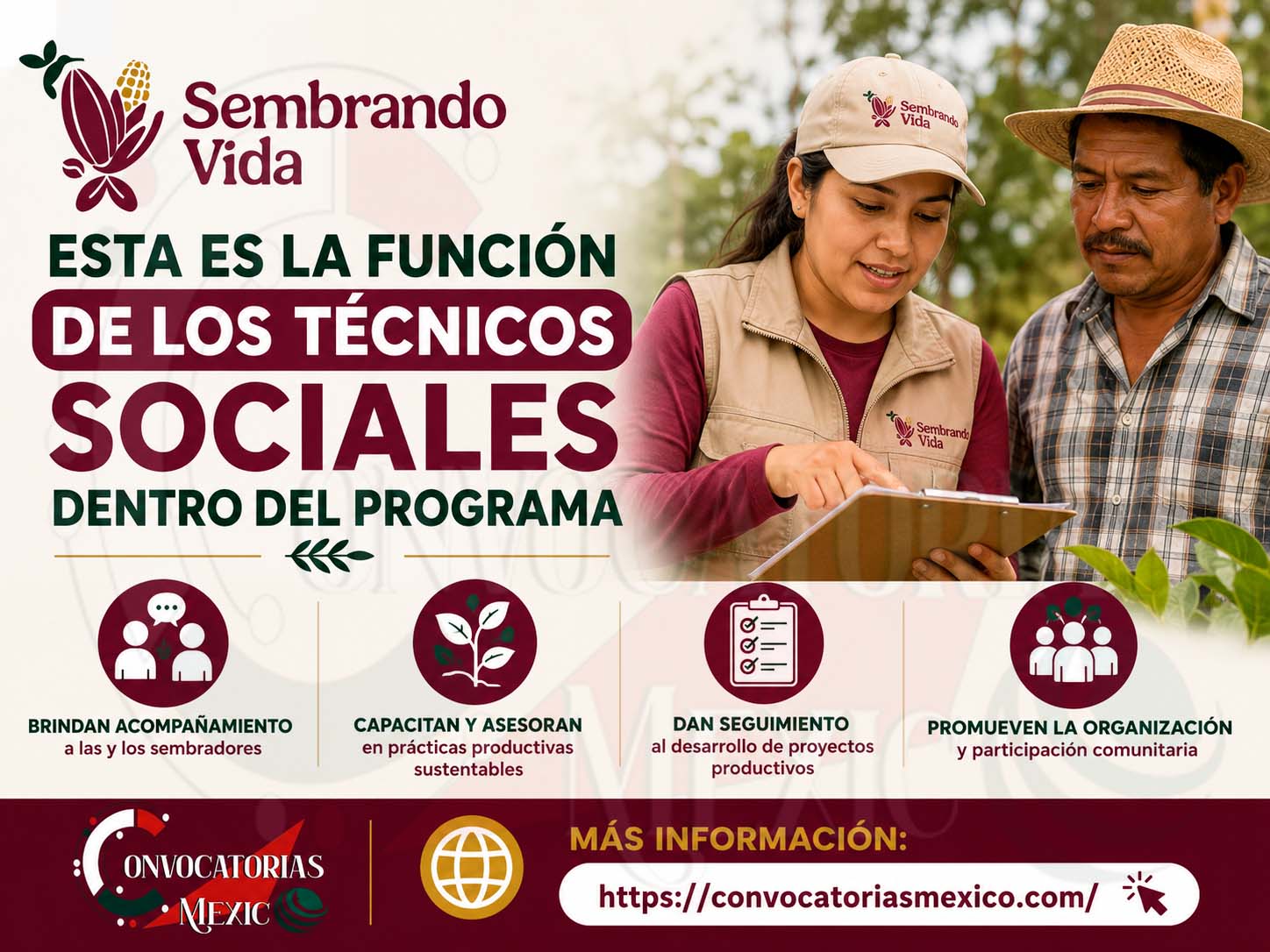 Sembrando Vida: esta es la función de los técnicos sociales dentro del programa