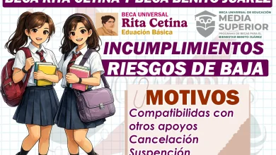 ilustración caricaturizada de un becario de las Becas BBVA 🧑‍🎓 🎒 Estudiante joven, sonriente y motivado 📚 Con mochila y libros, representando liderazgo y esfuerzo ✨ Estilo caricatura limpio, positivo y profesional 📦 PNG con fondo transparente (listo para usar en videos, presentaciones o redes) Este personaje puede representar a cualquier estudiante beneficiario de programas como Becas BBVA para Chavos que Inspiran, una iniciativa que apoya a jóvenes talentosos desde secundaria hasta educación superior en México.