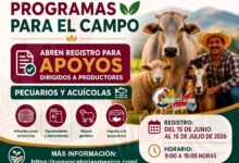 Solicita uno de los apoyo otorgados para el campo ¡Realiza tu registro del 15 de junio al 15 de julio si eres productor pecuario y acuícola!