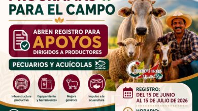 Solicita uno de los apoyo otorgados para el campo ¡Realiza tu registro del 15 de junio al 15 de julio si eres productor pecuario y acuícola!