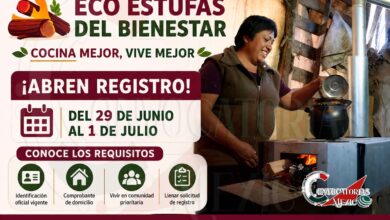 Solicitar una de las Eco Estufas del Bienestar ¡Registro Disponible del 29 de junio al 1 de julio!