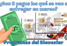 ¿Son 8 pagos los qué se van a entregar en marzo? | Programas del Bienestar 