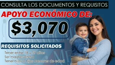 Tarjeta Mamá Soltera ¡Apoyo económico dirigido para jefas de familia! Otorgan 3 mil pesos
