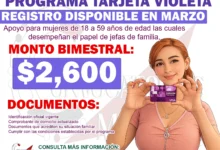 Tarjeta Violeta: Apoyo a Mujeres ¡Así puedes realizar tu Registro durante este mes!