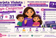 Tarjeta Violeta abre registro en Baja California: mujeres jefas de familia podrán realizar su inscripción esta semana