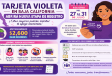 Tarjeta Violeta en Baja California abrirá nueva etapa de registro: estas mujeres podrán solicitar el apoyo económico 14 Tarjeta Violeta en Baja California abrirá nueva etapa de registro: estas mujeres podrán solicitar el apoyo económico