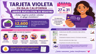 Tarjeta Violeta en Baja California abrirá nueva etapa de registro: estas mujeres podrán solicitar el apoyo económico