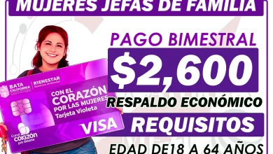 Tarjeta Violeta ¡Así puedes postularte si eres jefa de familia! Recibe un pago económico de 2 mil 600 pesos