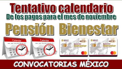 Tentativo calendario de los pagos para el mes de noviembre | Pensión del Bienestar