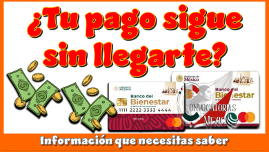¿Tu pago sigue sin llegarte? | Información que necesitas saber 