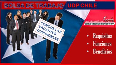 Bolsa de Trabajo UDP Chile