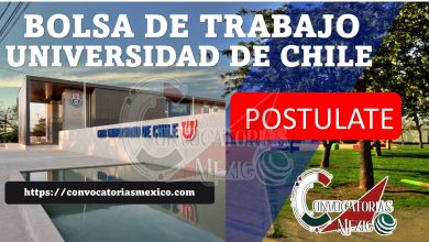 Bolsa de trabajo Universidad de Chile