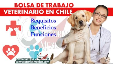 Bolsa de trabajo de veterinario en Chile
