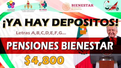 Secretaria Bienestar: Continúa el Periodo de pagos septiembre - octubre para Pensión Bienestar para adultos mayores, confirma Ariadna Montiel Reyes ¡Es el penúltimo pago del 2023!