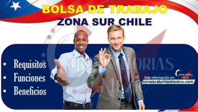 Bolsa de trabajo zona sur Chile