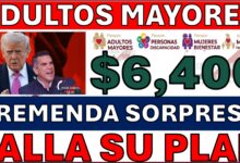 adultos mayores mexico pension comunicado