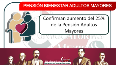 aumento del 25% de la Pensión Adultos Mayores