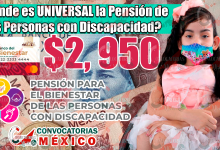 Pensión para el Bienestar de las Personas con Discapacidad