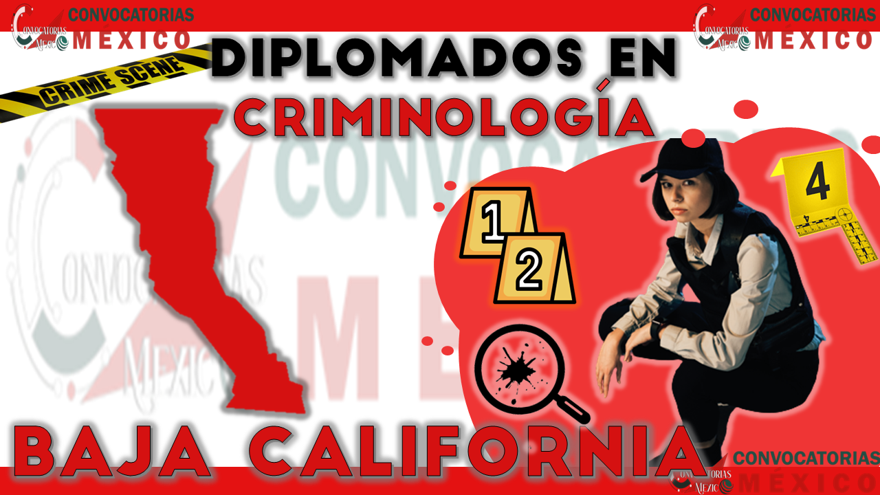 12 Diplomados en Criminología en Baja California