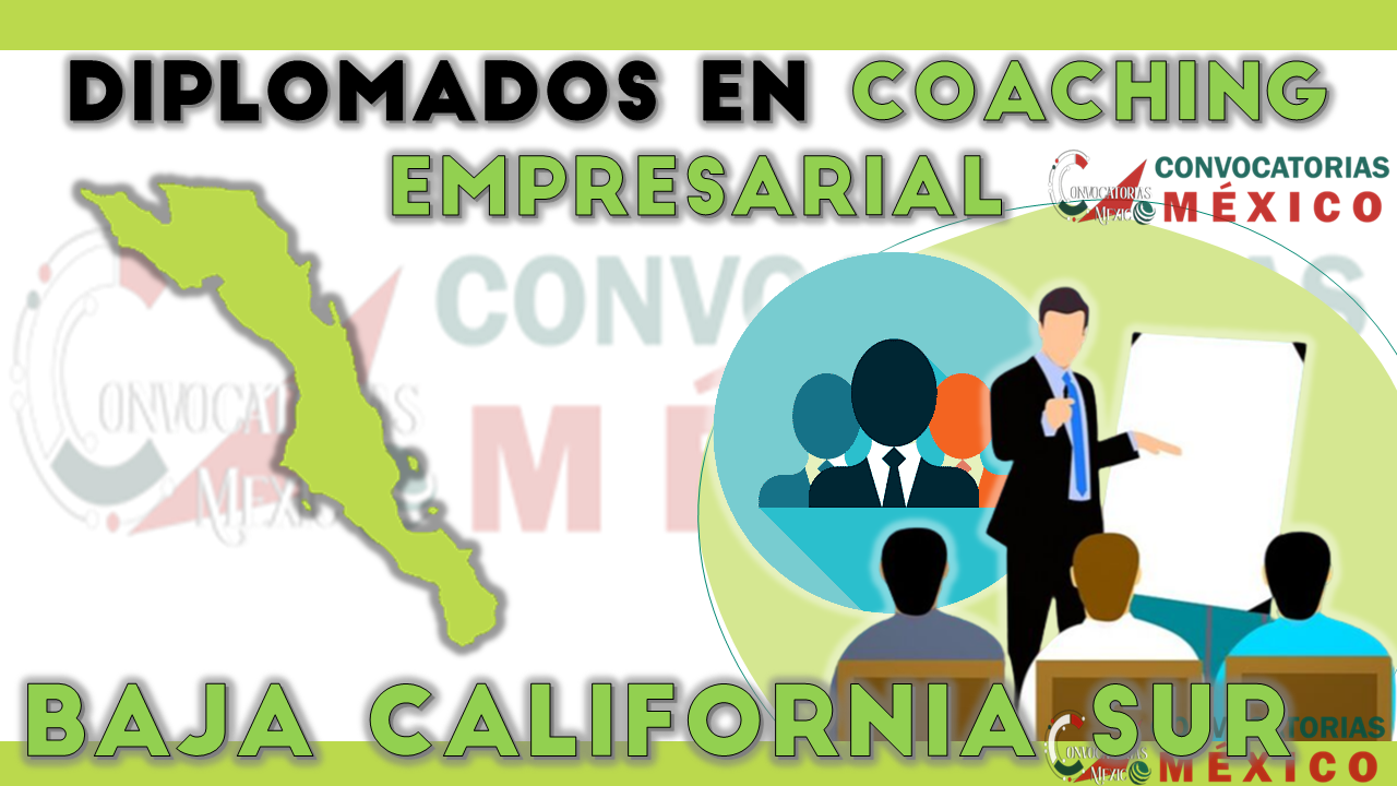 12 Diplomados en Coaching Empresarial en Baja California Sur