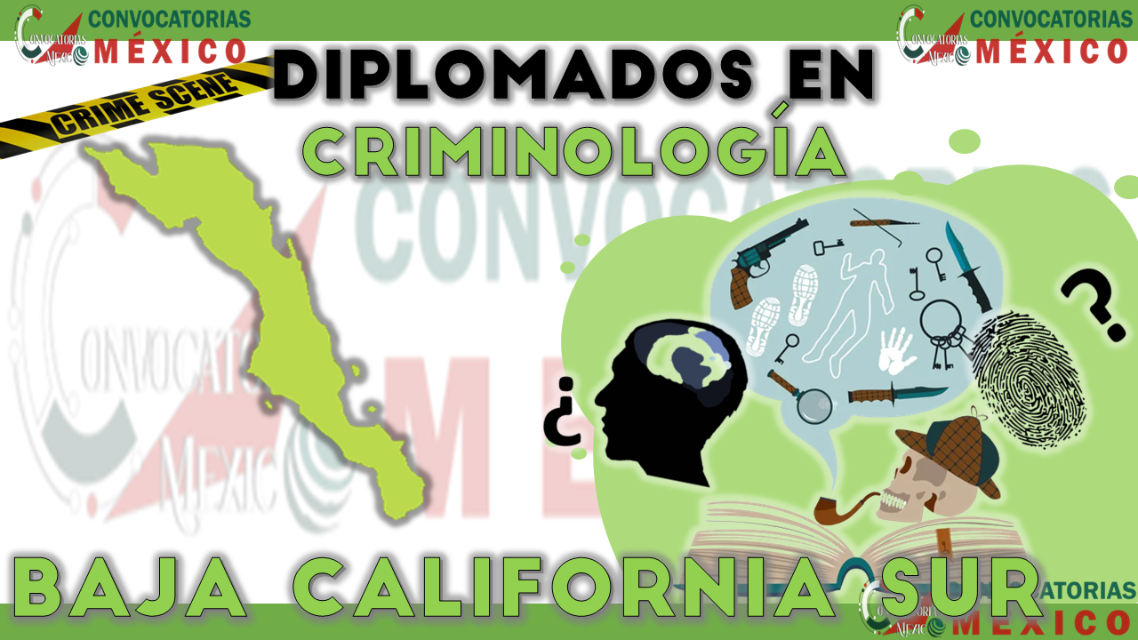 12 Diplomados en Criminología en Baja California Sur
