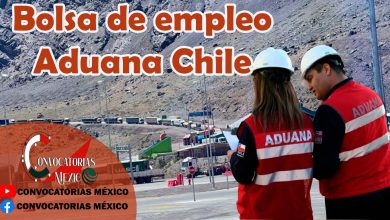 Bolsa de empleo Aduana Chile