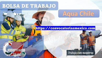 BolsaAqua Chile de Trabajo 
