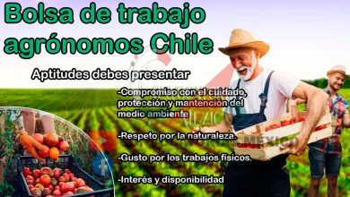 Bolsa de trabajo agrónomos Chile