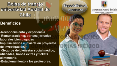 Bolsa de trabajo Universidad Austral de Chile