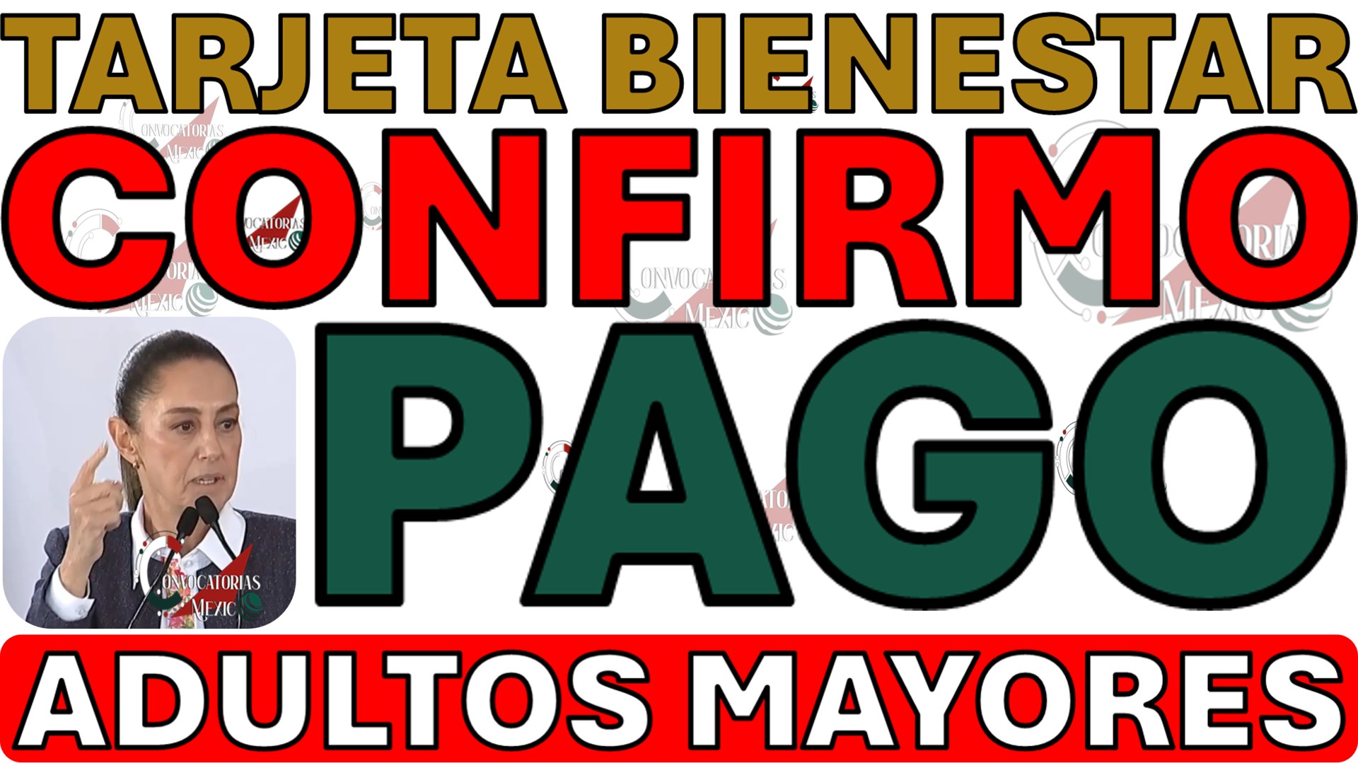 confirmado aviso pension adultos