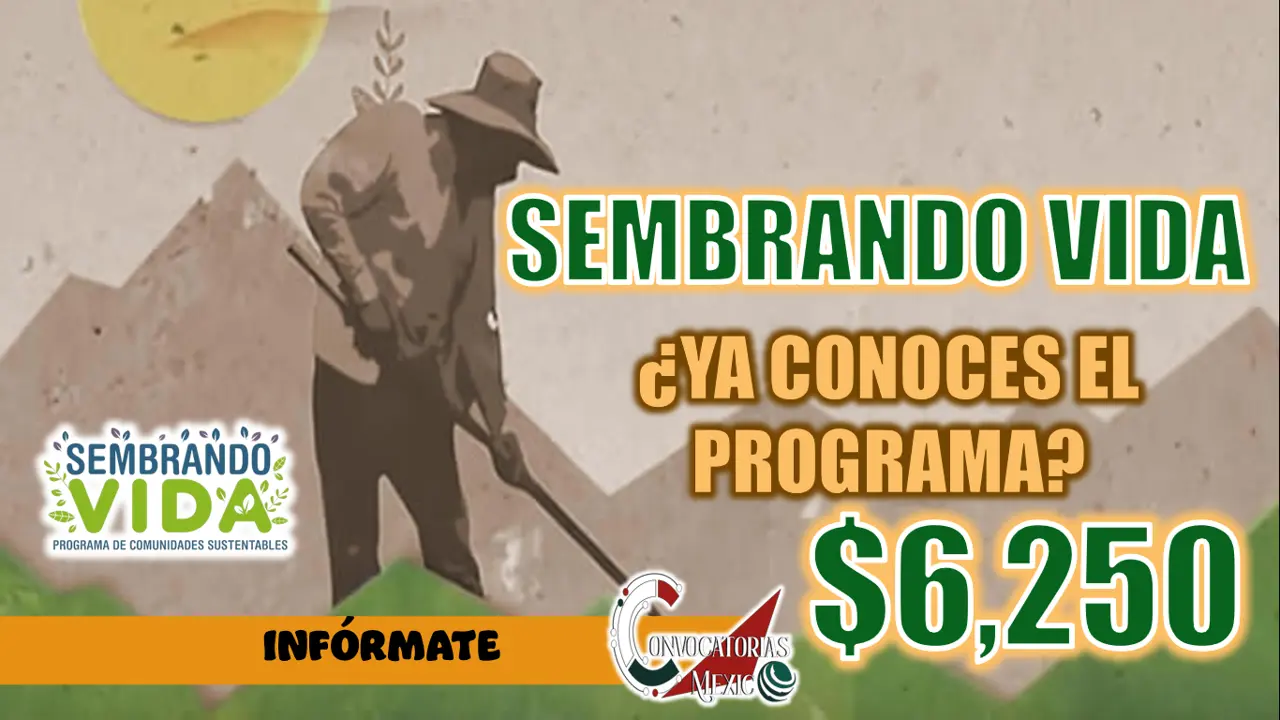 PROGRAMA BIENESTAR| CONOCE TODA LA INFORMACIÓN DE AQUEL PROGRAMA QUE OTORGA 6 MIL 250 PESOTES MENSUALES