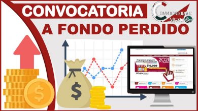 Convocatorias a Fondo Perdido 2024