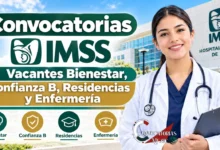 Personal médico y de salud laborando en instalaciones del IMSS durante las convocatorias de vacantes