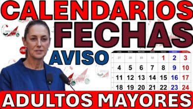 convocatorias mexico pension adultos