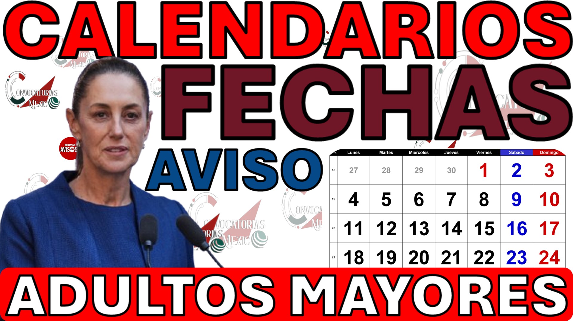 convocatorias mexico pension adultos