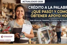 Emprendedora mexicana en su micronegocio revisando información sobre los Créditos a la Palabra y Tandas del Bienestar