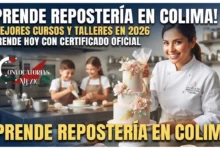 Imagen ilustrativa sobre cursos de repostería en Colima, mostrando un diseño con la guía de clases de pastelería y opciones para aprender y emprender un negocio dulce.