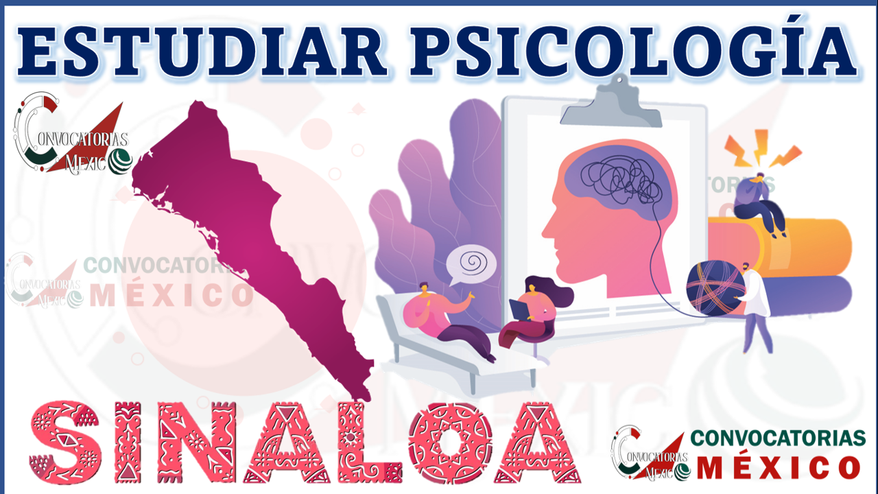 Descubre dónde estudiar Psicología en Sinaloa