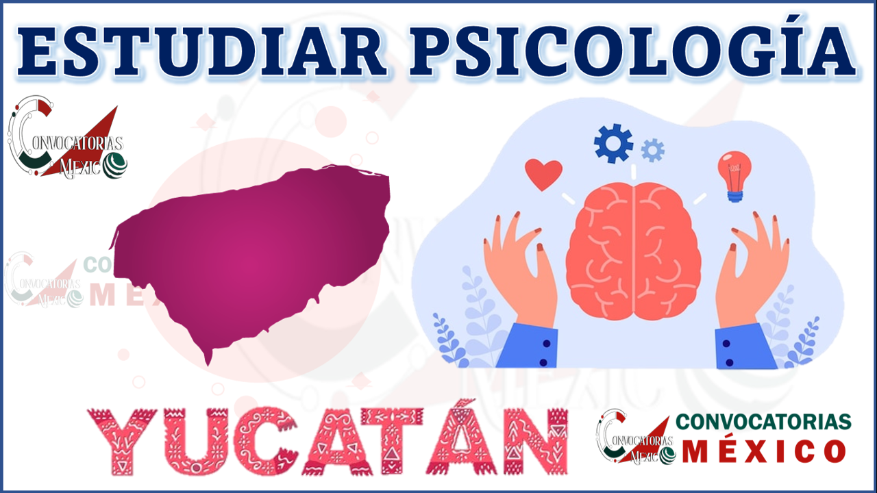 Descubre dónde estudiar Psicología en Yucatán