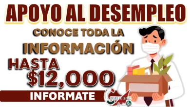 APOYO AL DESEMPLEO PARA EL BIENESTAR| CONOCE LOS REQUISITOS Y OBTÉN HASTA 12 MIL PESOTES