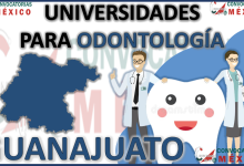 10 Universidades donde estudiar odontología en Guanajuato, México