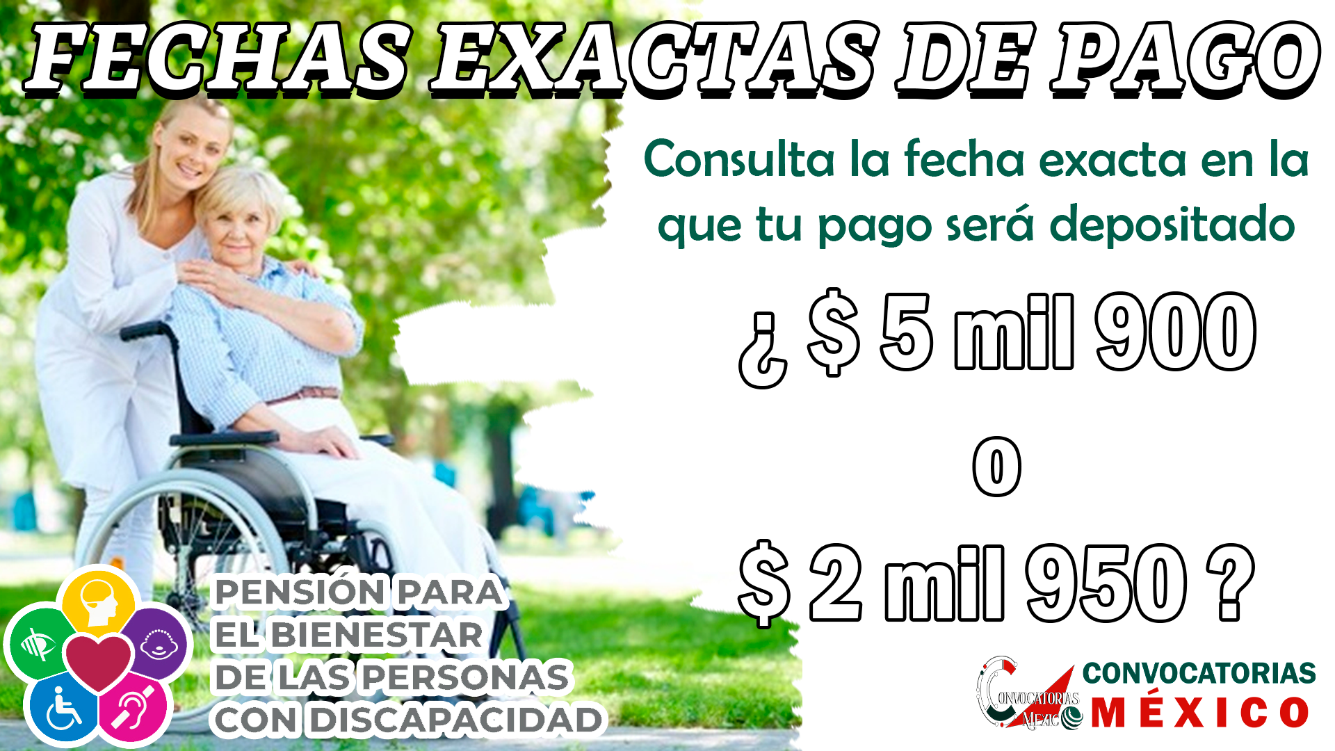 Pensión para las Personas con Discapacidad