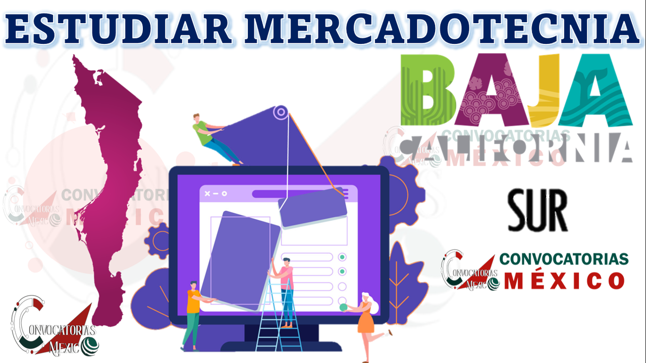 Dónde estudiar Mercadotecnia en Baja California Sur
