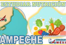 Donde estudiar Nutrición en Campeche