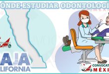 Donde estudiar odontología en Baja California